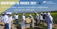 Actu Pollinisation 01 Actu Pollinisation 01